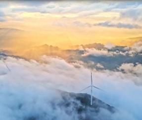 Carrist Technology Co.,Ltd