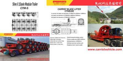 chauve à la montagne